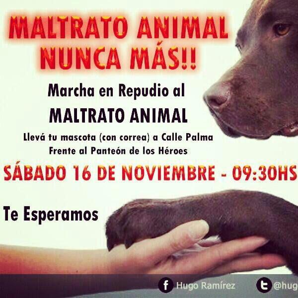 sandgonza's tweet image. "@LaPsicoloca_: Para quien se quiera prender. http://t.co/5XRasXUHA6"// mira @VcaProtector :)