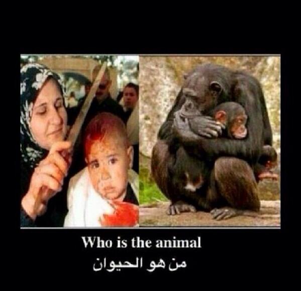 MASAlassaf's tweet photo. حتى الأم فقدت حنانها و خوفها على ابنائها، اليهود و النصارى ما وصلوا للمستوى هذا http://t.co/oRWP9bEueB