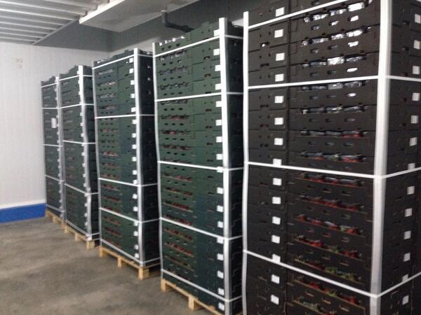 Largel, Morocco start shipping Fortuna to the UK market!