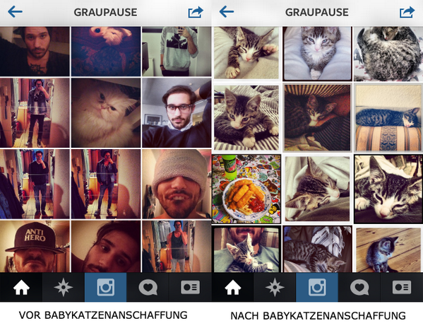 gebaermutti's tweet photo. schwanke zwischen a) aufreißmasche babykatze klappt besser. oder b) @graupause IST jetzt eine babykatze. #instapat http://t.co/XmbaC547U0