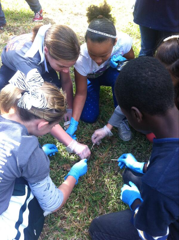 MsRichardsclass's tweet photo. Field trip day! http://t.co/yUdxtDWr25