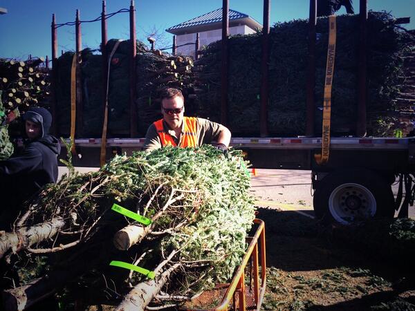 Ready to pick out the perfect tree? We're ready to help! It smells great out here! #letsdothis #christmas #homedepot