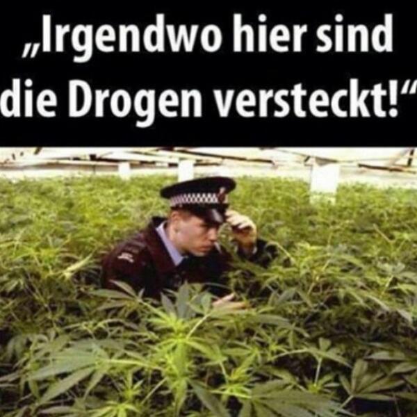 sieber12's tweet image. 