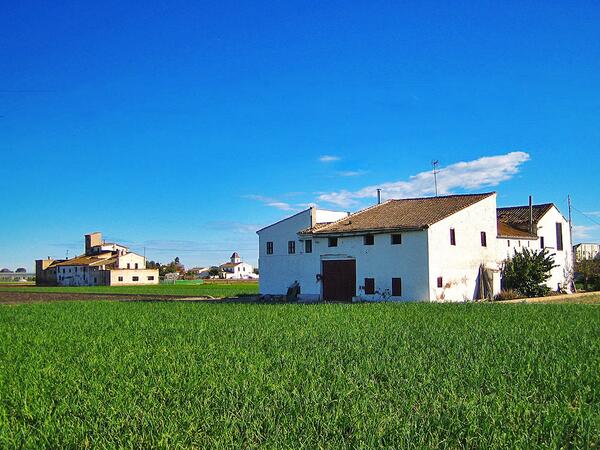 FotosComVal's tweet photo. Alqueries de l´Horta, Valéncia. http://t.co/gDvwMeLKKa
