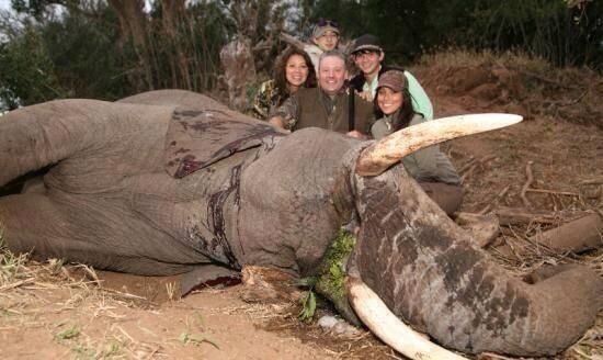 Arubanger's tweet photo. "@AnimalPlanetPic:
http://t.co/Huqx1VEwfS"
Un victima y 5 ANIMALES!