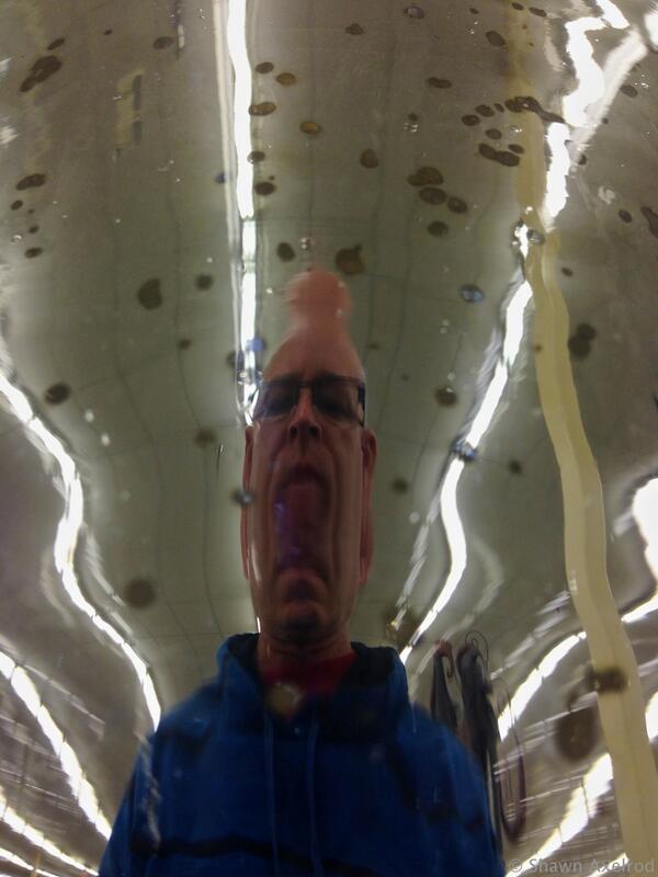 @ProjectLife360 #ProjectLife360 #whatever