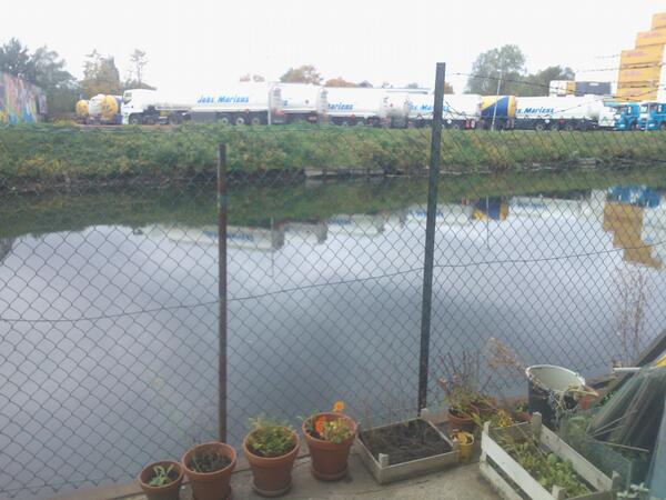 betaanton's tweet image. 54