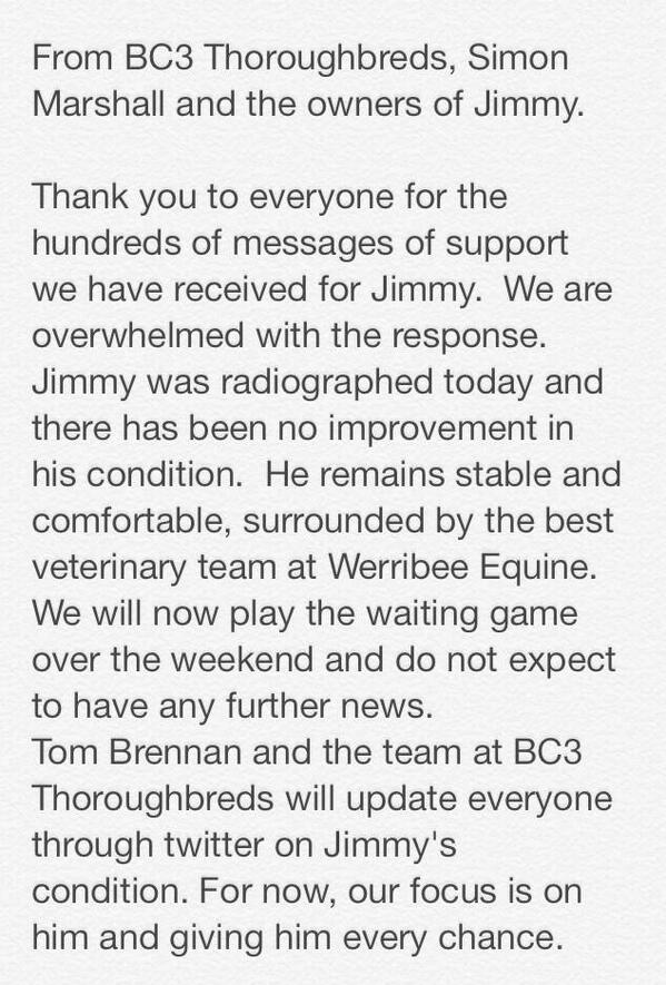 BC3thoroughbred's tweet photo. A brief update on Jimmy http://t.co/KyIh24LlyF