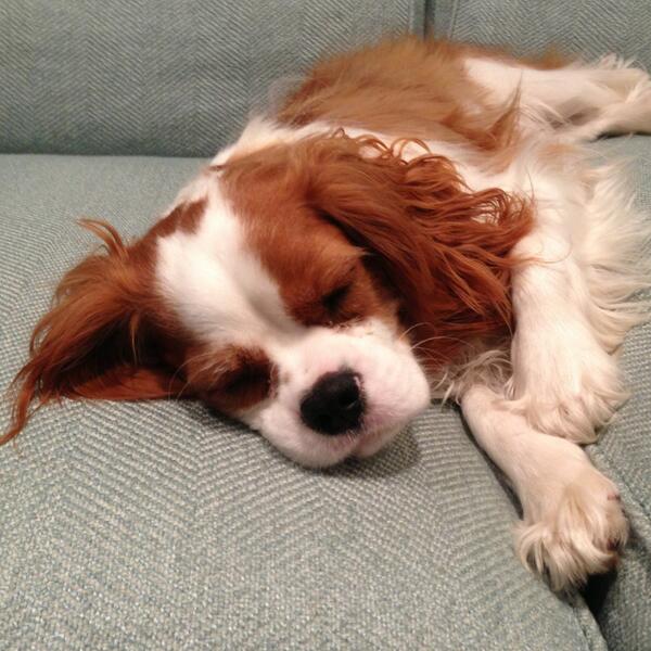 Chip Cash tweet media