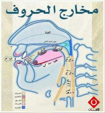 Makharij Chart