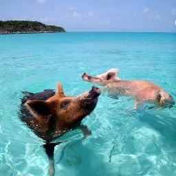 StankaMatuga's tweet photo. Hello world! #newprofilepic http://t.co/rSfe7ho7DC