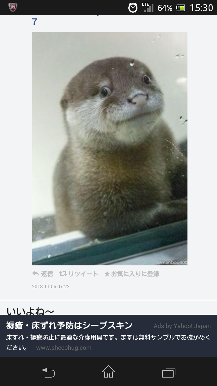 桐生峯義 カワウソのドヤ顔www Http T Co 8p2h30cson Twitter
