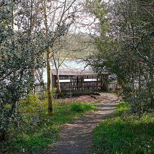 NT SW Cornwall tweet media