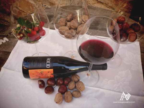 Nuestro pequeño homenaje al #otoño en #Valdeorras lleno de sabor, naturaleza y buen vino! #mencia #godello