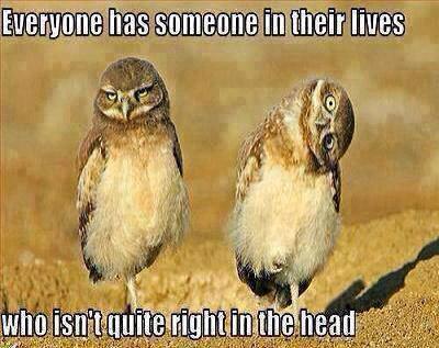 Phoenixbackfrom's tweet image. me?