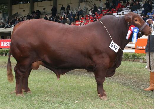 Biogenetics Paraguay tweet media