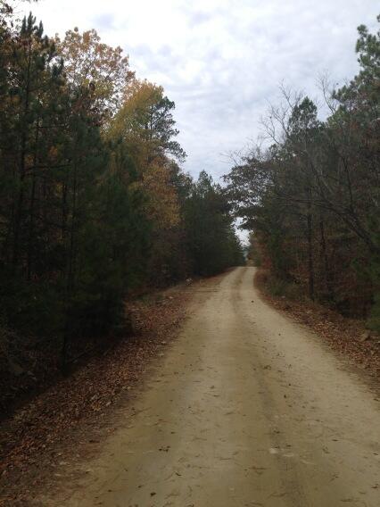 ProactiveDiag's tweet image. Making ranch calls yesterday and listening for banjos. #ranchlife #cattle #beef #sales