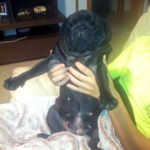 CandasAzorin's tweet photo. Buenos dias :3 http://t.co/dIepSiazmb