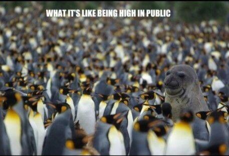LizcoinIntern's tweet photo. http://t.co/hUnXpBTgP8