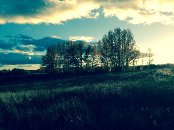 mistofeles's tweet image. #inspirationalWeek