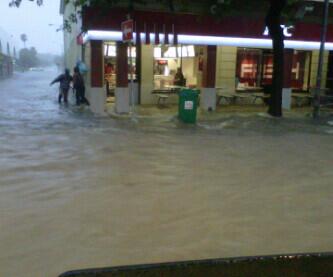 Monique Yates tweet media