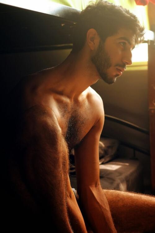 New World Magazine tweet media