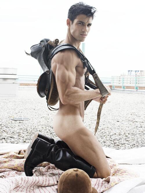 New World Magazine tweet media