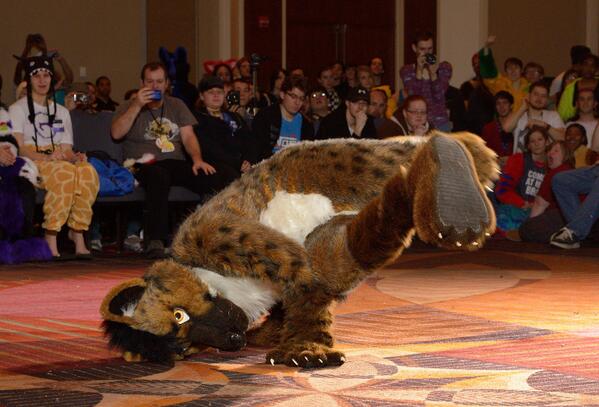 RonnieNoodles's tweet image. #FursuitFriday Next week, this shall be happening once more. History repeats itself at #MFF2013 ;) (Photo by Abrahm)