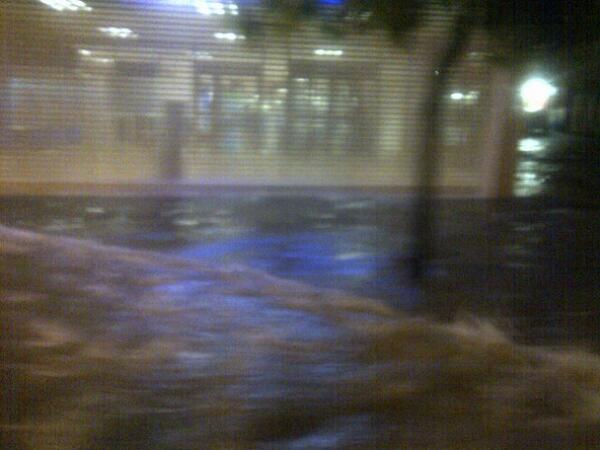 Monique Yates tweet media