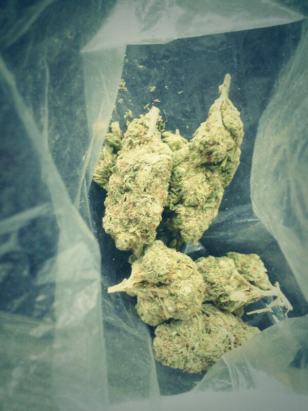 growmyown's tweet photo. “@NoEngrishPlease #WeedPorn #TurnUp #StonerNation #TheHighSociety http://t.co/yCL1eh3CoA” luv a tight bud or butt either or.