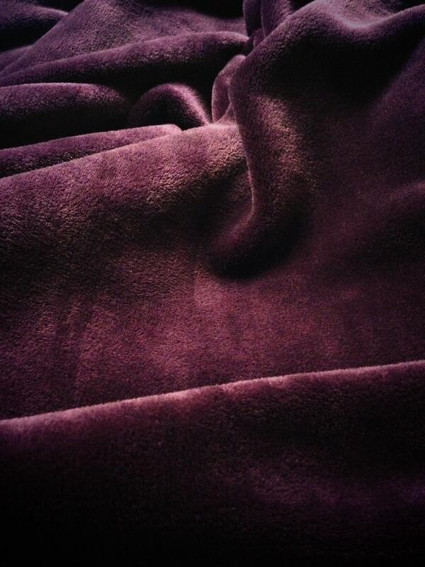 jessicaa_fran's tweet image. My life in 1 picture #fuzzyblanket