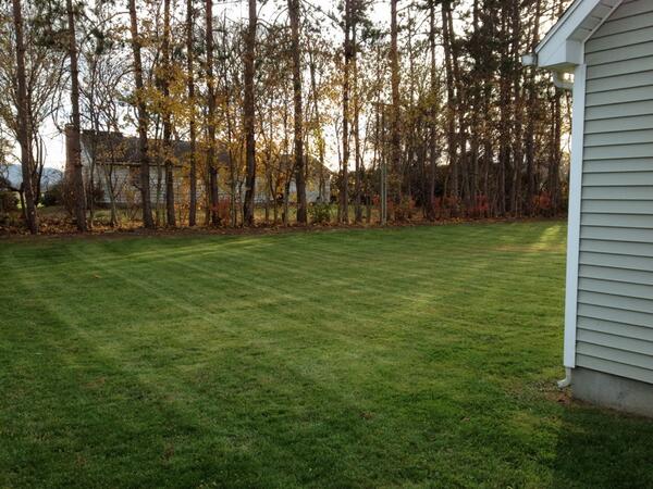 BladesMowing's tweet photo. Fall cleanup! http://t.co/hjvlT6sEmB