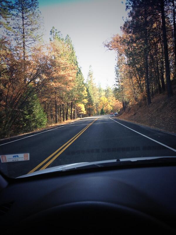 ajohnston87's tweet photo. Big Sur bound with @BAwetsch, 5k tomorrow and 1/2 marathon on Sunday..  LFG http://t.co/TrrF1yBQAj