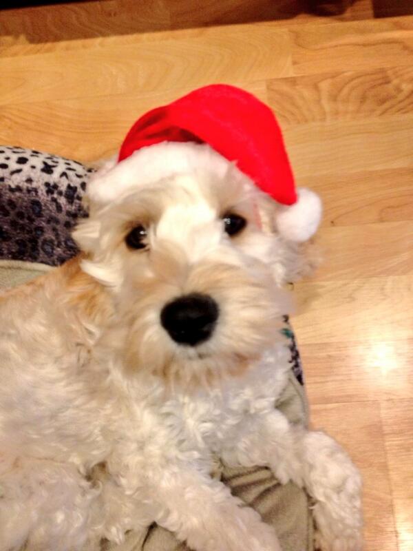 Agapi43's tweet image. 