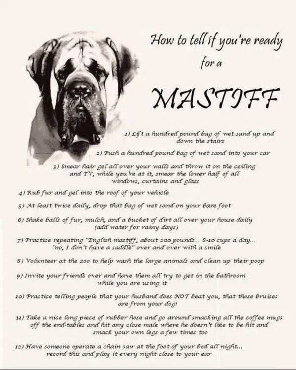 DaisyJTheDog's tweet photo. Lol rules can be applied for Bullmastiffs too lol number 8 cracks me up http://t.co/S42ZYv5LOh
