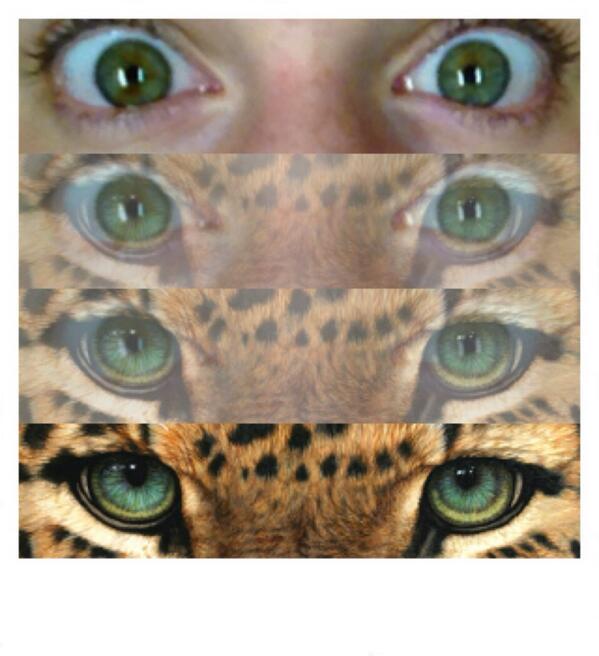 Sweeperprobs's tweet image. This app fascinates me