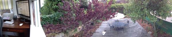 tequilakitty's tweet photo. My brother doesn't know how to hide from birds, and I refuse to teach him http://t.co/TqgWJswlV8