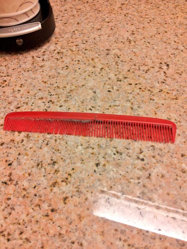 JaredEDuncan's tweet photo. this was in my bed...... #hotels http://t.co/fjZI25J6H2