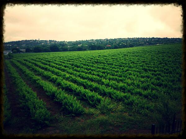 ChillOUTTravel1's tweet photo. Amazing view from our hotel this morning http://t.co/MrwQ9gOIol