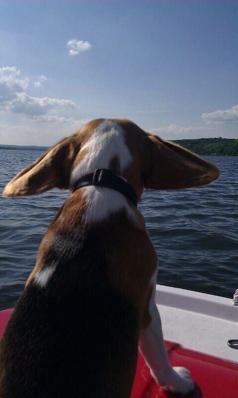 Eine Bootsfahrt die ist lustig, eine Bootsfahrt die ist schön ;)