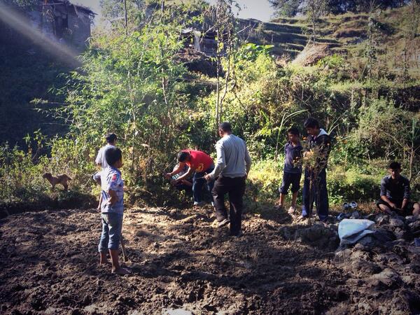Indreniorg's tweet photo. Today the children helped out in the vegetable farm for a few hours. Great learning for all http://t.co/sElgHHbCiM