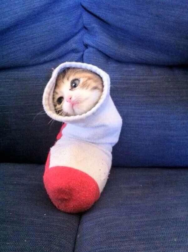 soyultics's tweet photo. sobbing at this. http://t.co/3U3qub5y5E