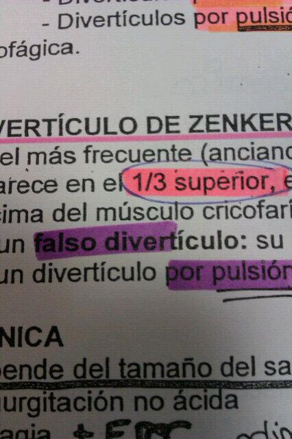 ana_tresdes's tweet photo. No te puedes fiar de ellos. Son lo peor. @lucilu_fg http://t.co/Cmi6WZtTfC