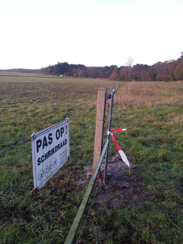 CranberryTexel's tweet photo. Het raster voor de schapen staat er aan de Rozendijk, komend jaar natuurlijk beheer op het Cranberry perceel. http://t.co/hIjqu62GhC