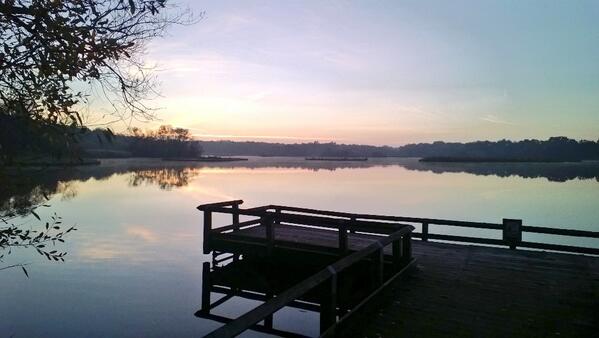 Pike & Carp Angler tweet media