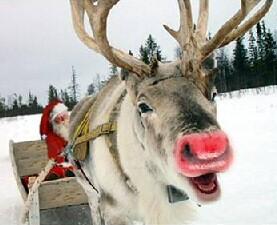 OfficialSanta's tweet photo. ☆☆☆ ONLY 39 SLEEPS TO #CHRISTMAS ☆☆☆ http://t.co/HOq5Vds8HE