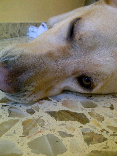 Fernando Carlini (@fermanchesta) on Twitter photo 