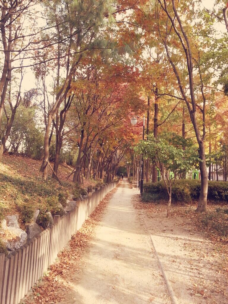 Arfid Tuter on Twitter: "ME...ME..ME RT @sjhsjh0628: Wow!! the leaves ...