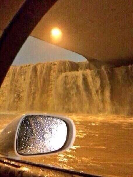 عرض الصورة على تويتر