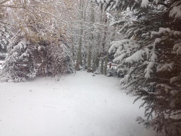DeanieWimmer's tweet image. Glorious snow! @pcski @deervalley #snow #openopenopen